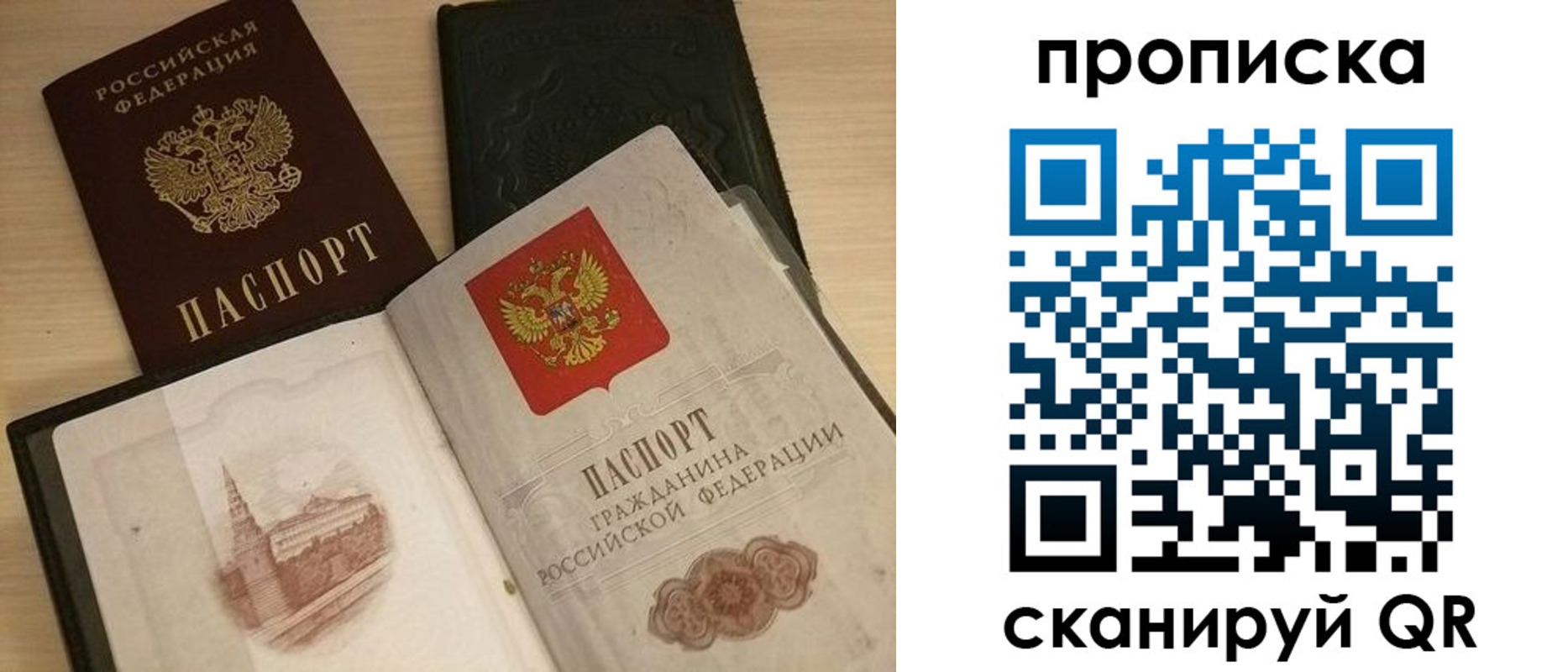 прописка в квартире в Мурманской области